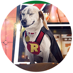 Rizk Casino