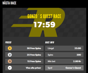 rizk race